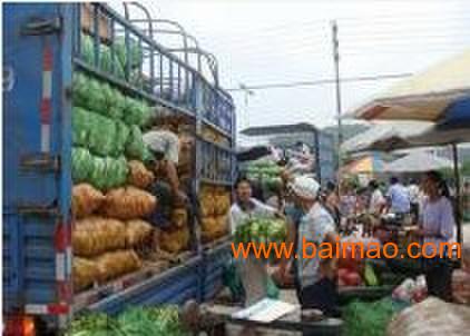 共好膳食 專業(yè)食材配送與餐飲服務專家