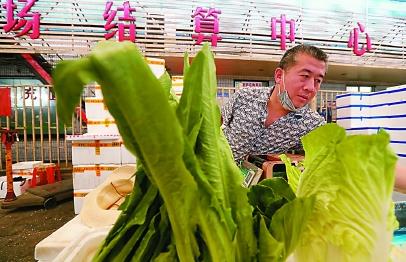 上海精準對接銷售云南扶貧農產品，微生物肥料助力農戶解燃眉之急